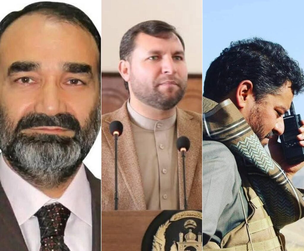در انتخابات یازده سال قبل ریاست جمهوری نوار های صوتی پخش شد که نشان میداد به نفع اشرف غنی تقلب شده است. عطا محمد نور حالا فاش کرد که شنود و ضبط این مکالمات کار یاسین ضیا بود